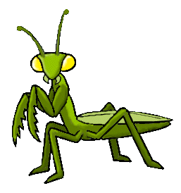 257x274 Praying Mantis Clipart Green Bug