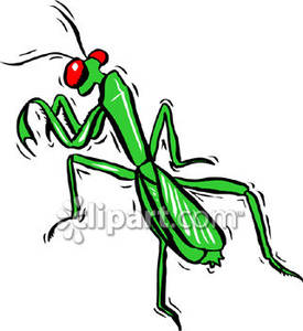 275x300 Praying Mantis With Red Eyes