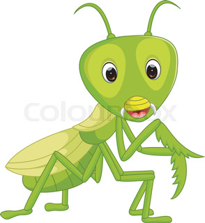 294x320 Praying Mantis Stock Vector Colourbox