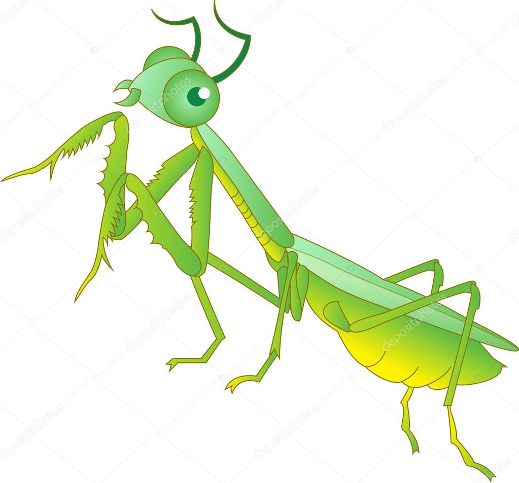 1023x953 Praying Mantis Grasshopper Cartoon Stock Vector Tieulong