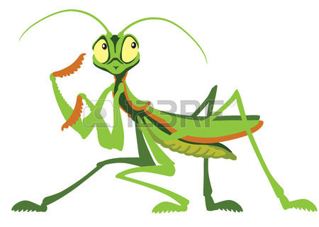 450x320 Top 94 Praying Mantis Clip Art