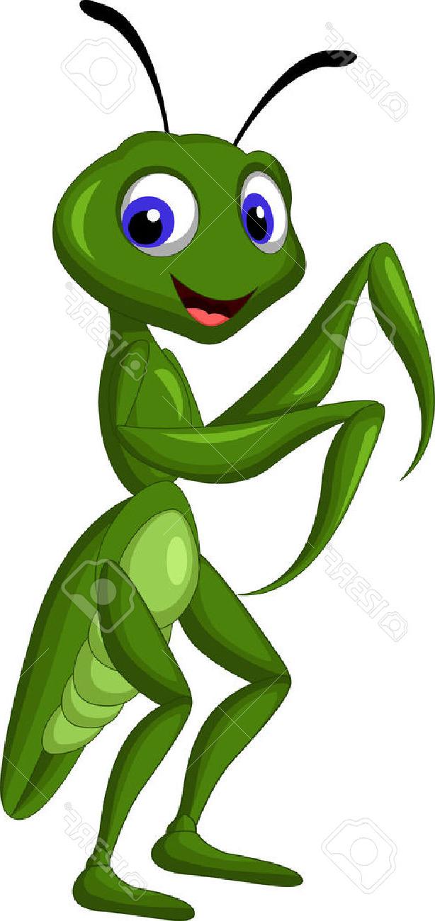 Collection of Mantis clipart | Free download best Mantis clipart on ...