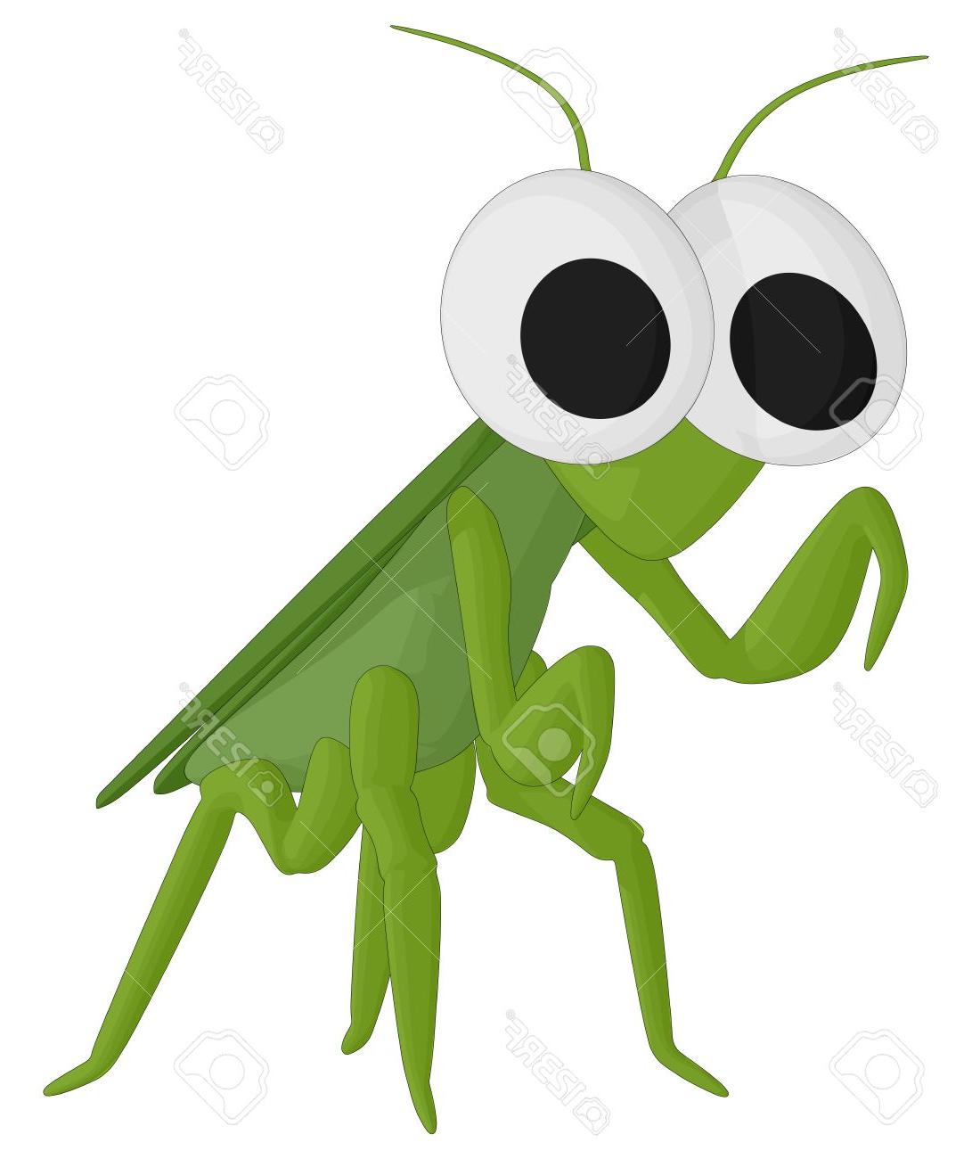 1091x1300 Best Free Praying Mantis Stock Vector Cricket Insect File
