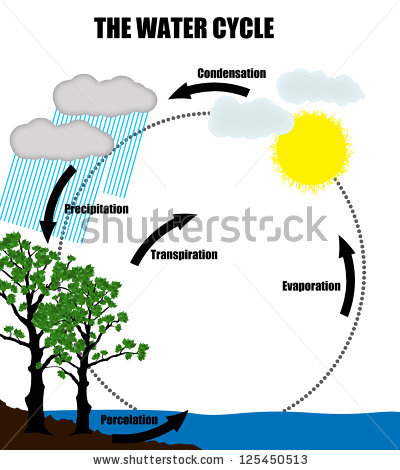 400x470 Water Cycle Clipart Frame