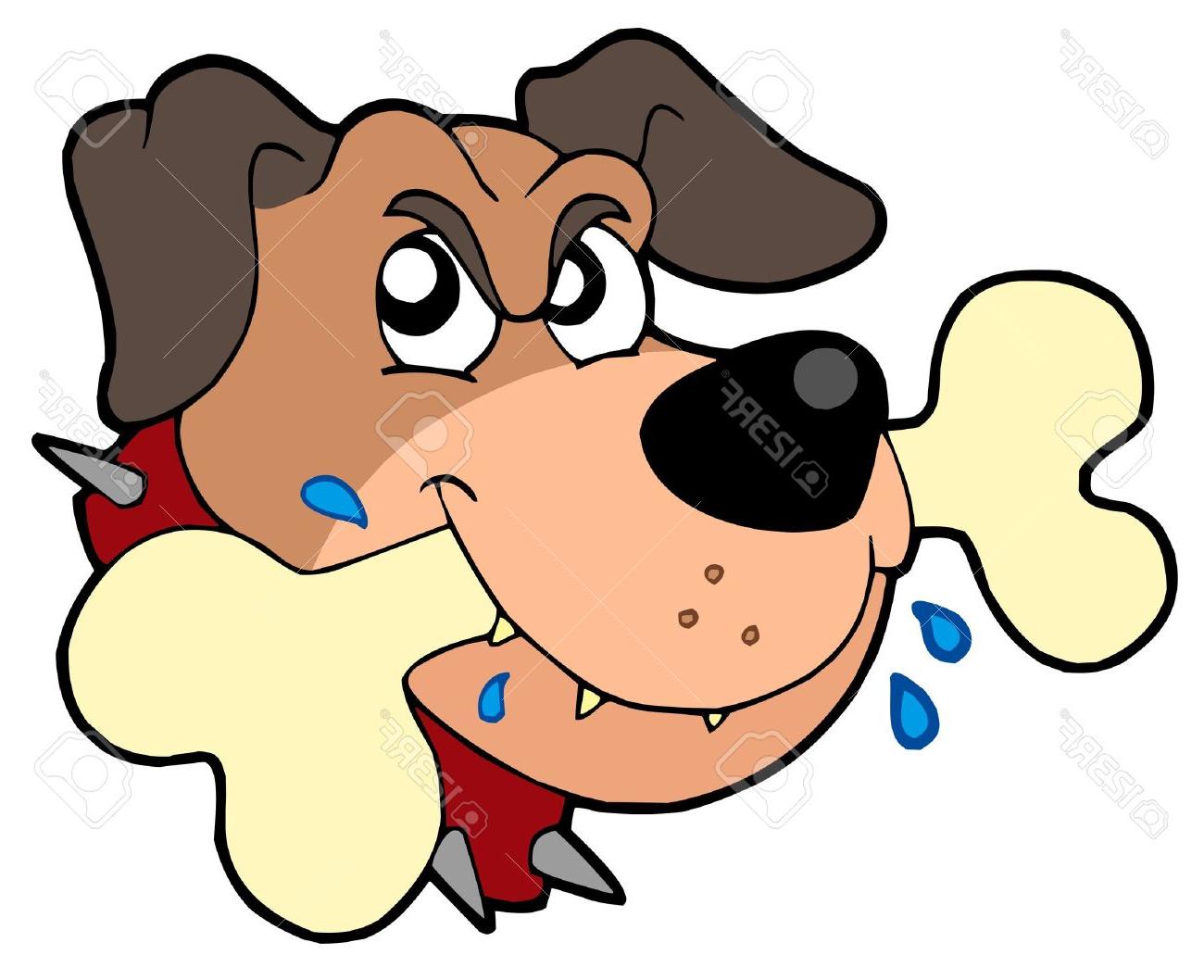 1300x1058 Best Angry Dog Face Vector Illustration Stock Predator Photos