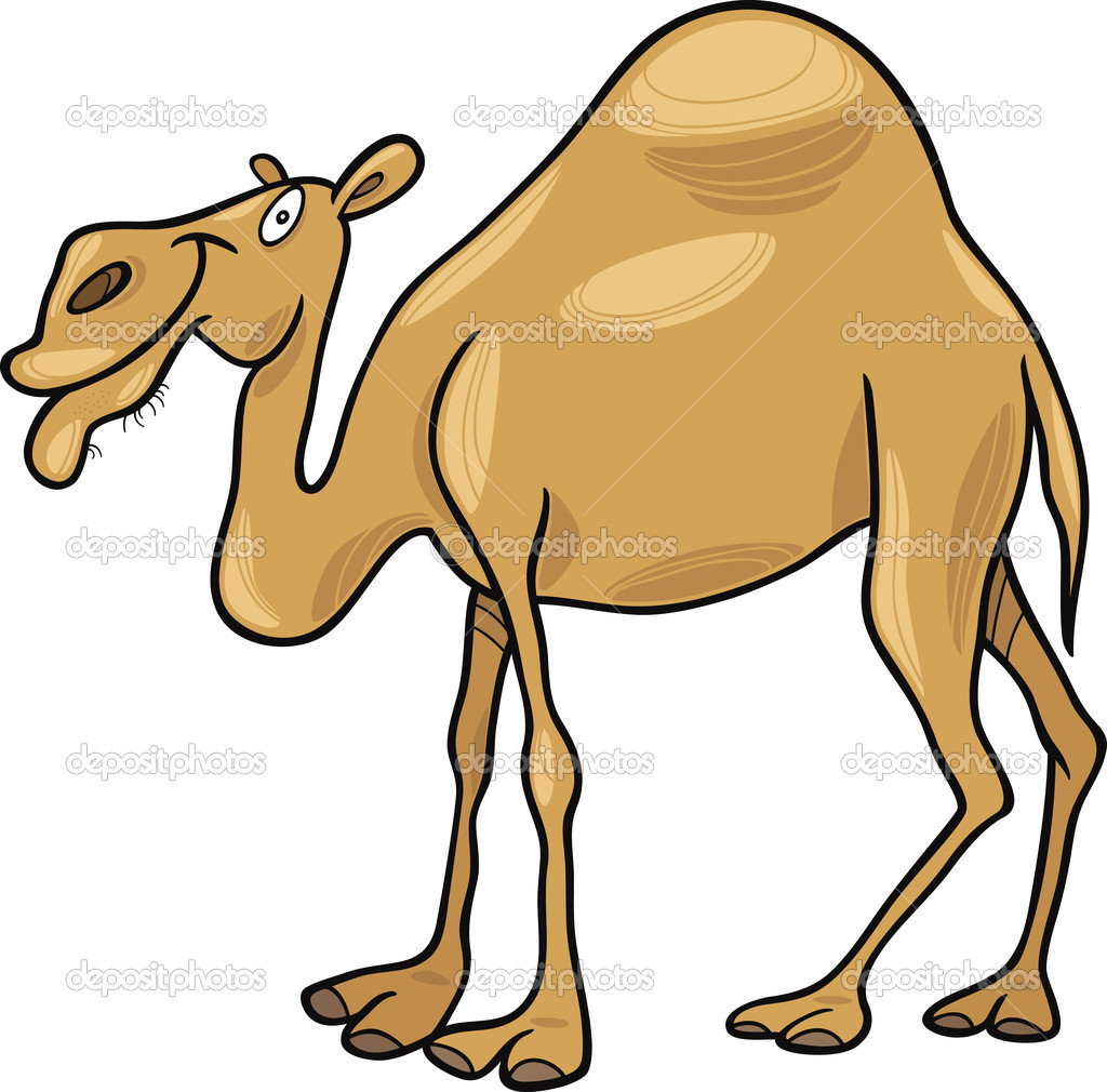 1024x1010 Cartoon Camel Clipart