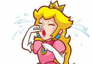 320x223 Thank You Mario, But Our Princess Is In Another Game, Getting