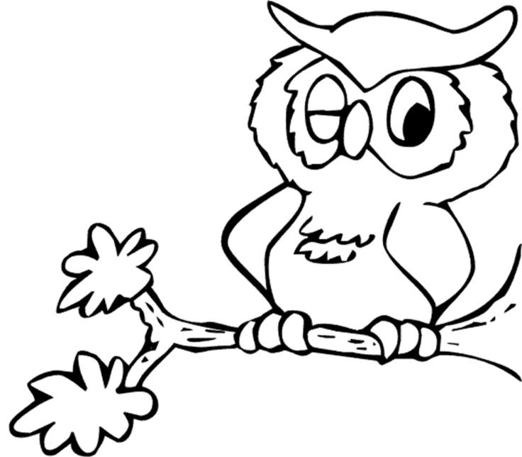 736x644 The Best Owl Coloring Pages Ideas Free Coloring