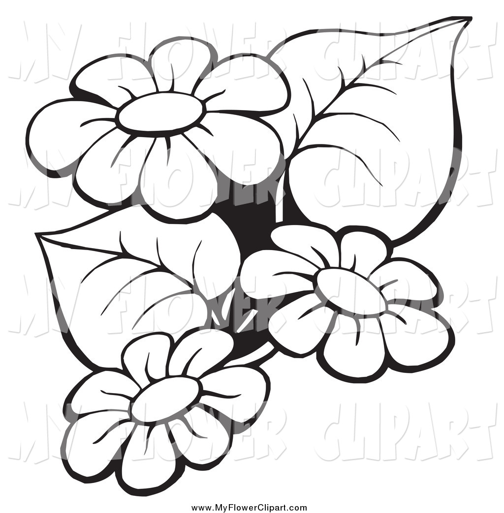 1024x1044 Royalty Free Stock Flower Designs Of Printable Coloring Pages