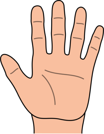 333x429 Draw Hand Clipart Hand Clipart