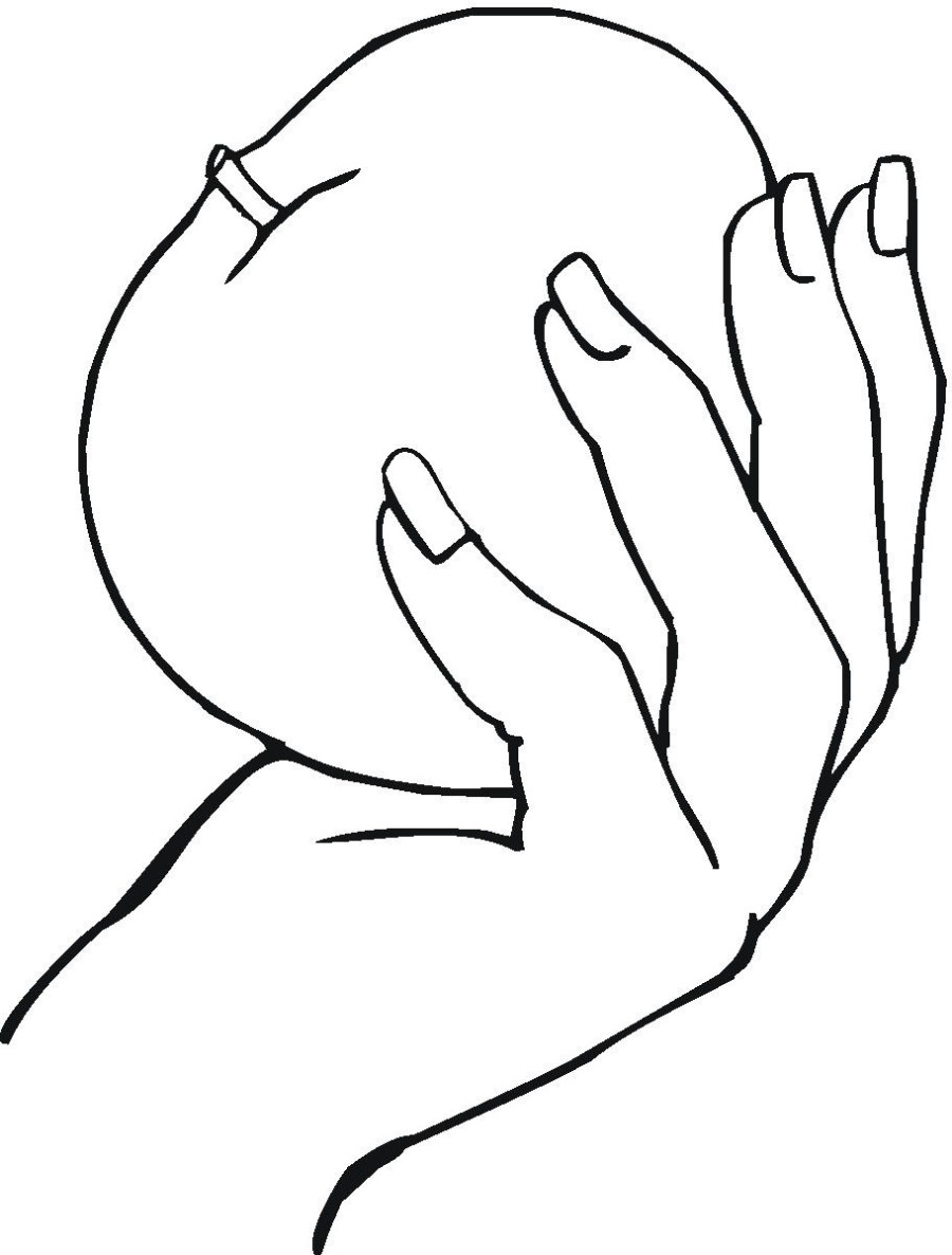 900x1186 Printable Apple Coloring Page In The Hand Free Coloring Book Picture