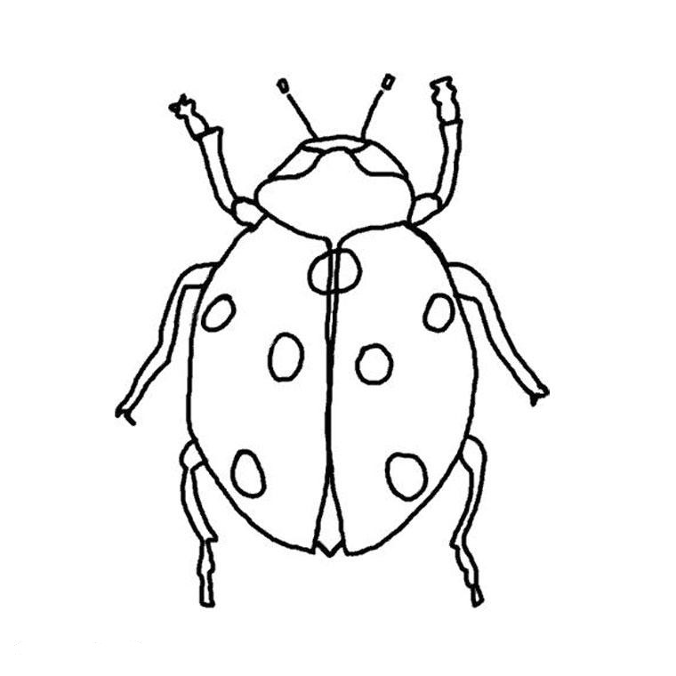760x760 Bug Amp Insect Coloring Pages