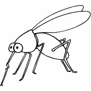 300x300 Mosquito Coloring Page
