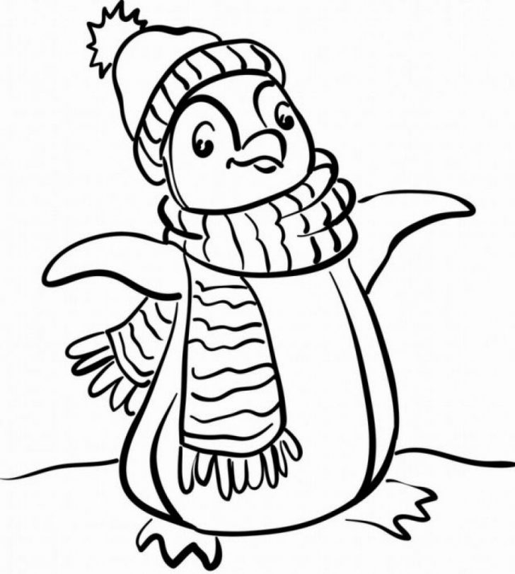 728x811 King Penguin From Falkland Islands Coloring Page Printable Click