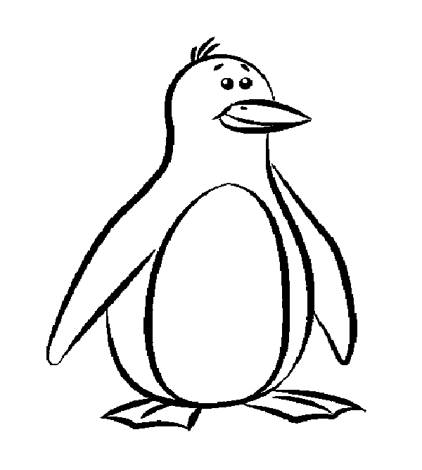 600x668 King Penguin Clipart Penguin Drawing