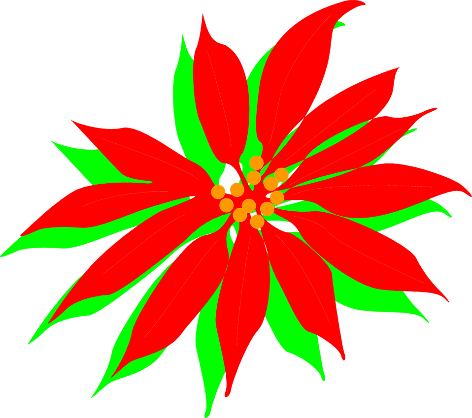 958x849 Free Poinsettia Cliparts