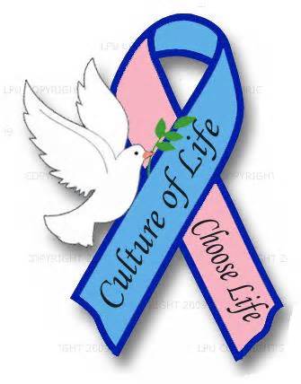 335x428 What's Going