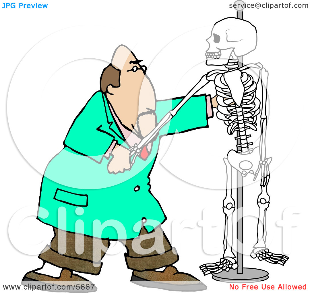 1080x1024 Chiropractor Clipart