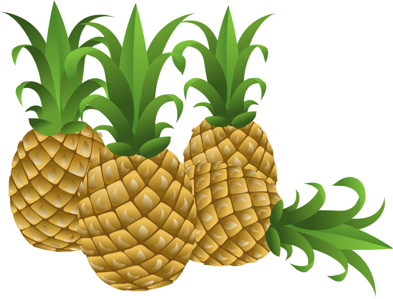 800x608 Free To Use Amp Pineapple Clip Art 2