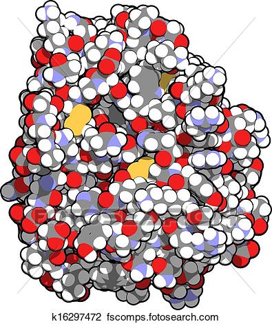 395x470 Clipart Of Trypsin Digestive Enzyme Molecule (Human). Enzyme That