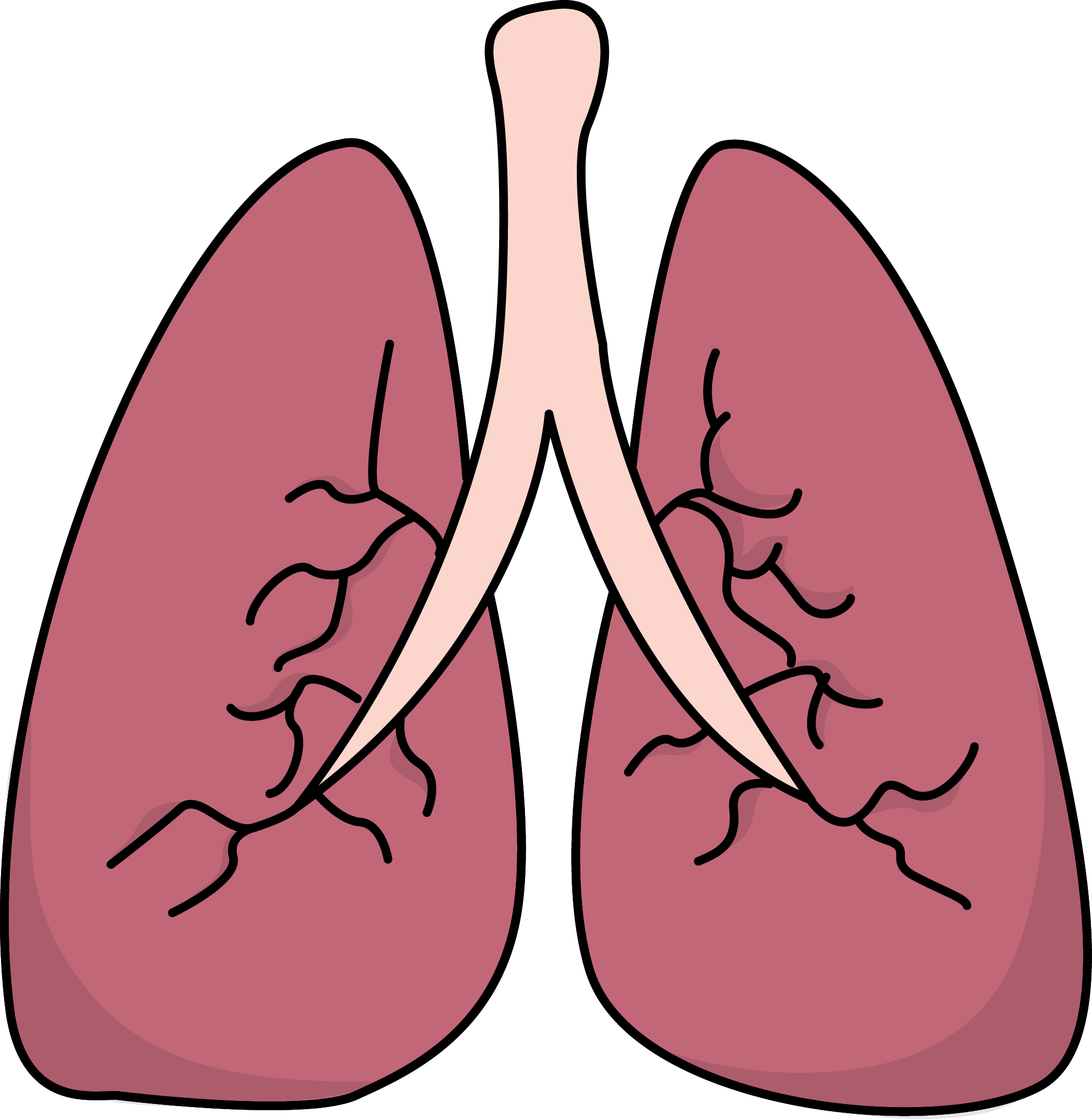 2107x2160 Image For Free Lungs Health High Resolution Clip Art Travel