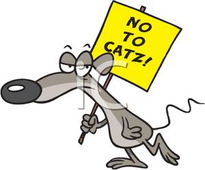 300x249 Cute Rat Carrying A Protest Sign Against Cats