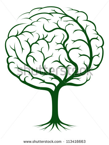 354x470 Brains Clipart Psychology Brain