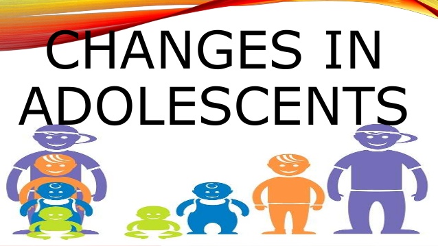 638x359 Brain Clipart The Adolescent