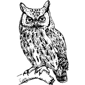 300x300 Owl Clip Art