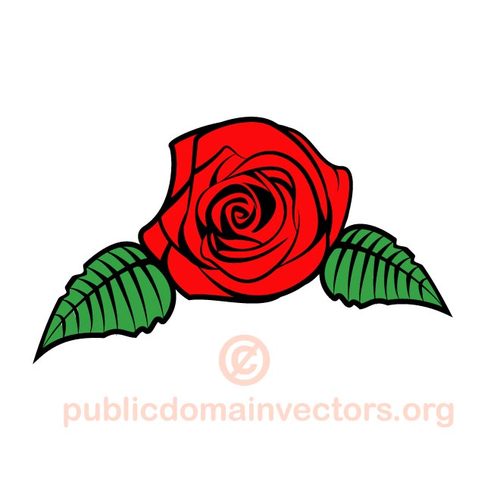 500x500 Rose Flower Clip Art Vector Public Domain Vectors