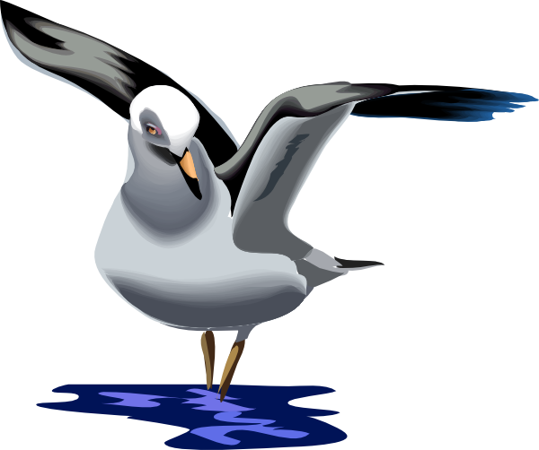 600x502 Landing Seagull Clip Art