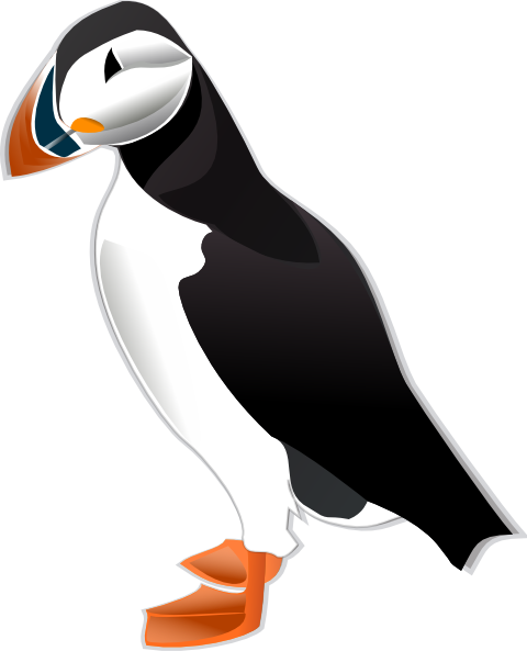 480x593 Puffin Md Clip Art