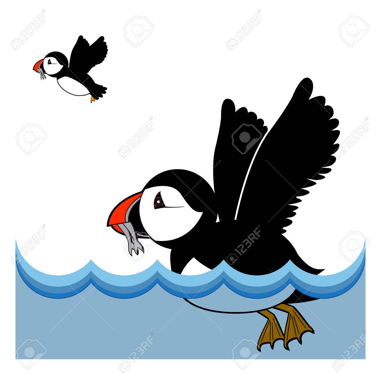 1300x1300 Puffin Vector Illustration On White Background Royalty Free