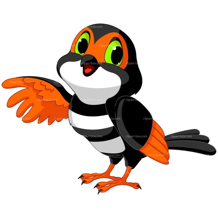 736x736 Puffin Clipart Animated