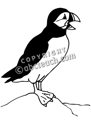 300x400 Puffin Clipart Black And White