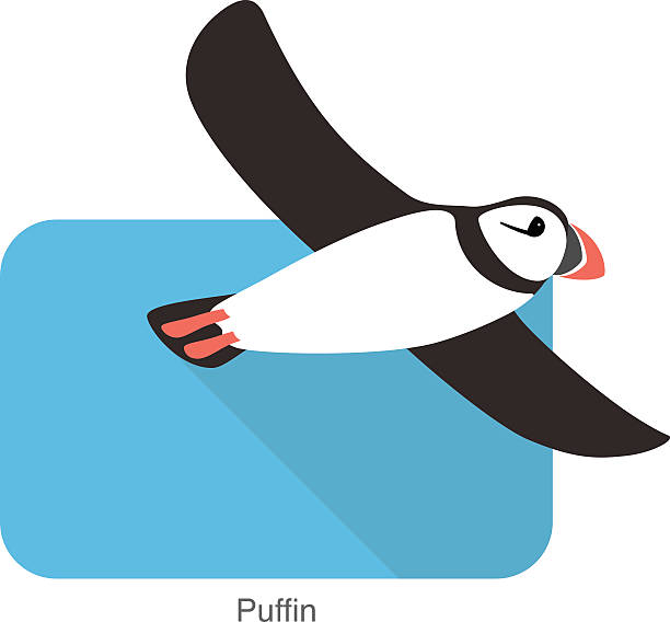 612x568 Puffin Clipart Cute Cartoon