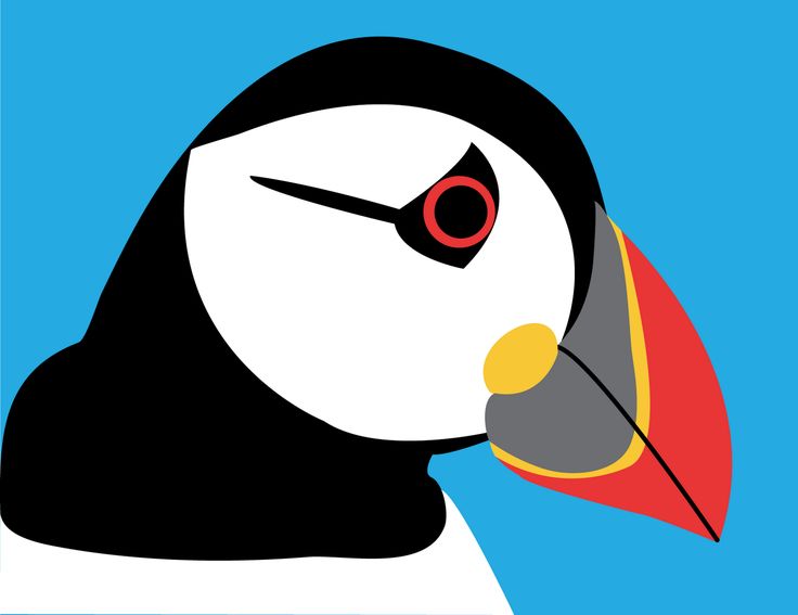 736x567 44 Best Puffins Images Bird, Birds And Doll