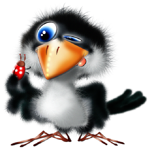 600x600 Brds Clipart Puffin