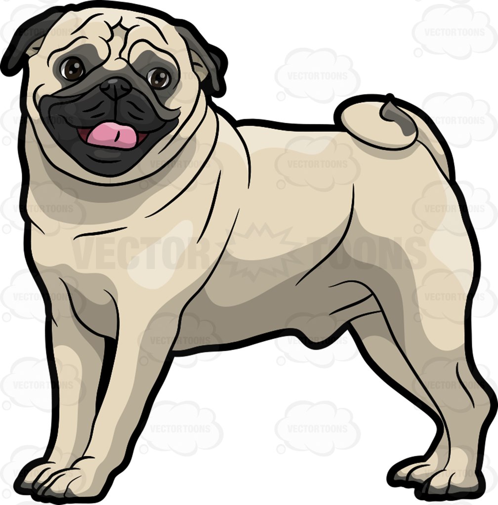1008x1024 A Friendly Pug Sticking Its Tongue Out Cartoon Clipart