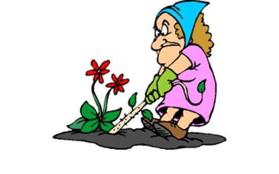 550x343 Flower Weeds Cliparts