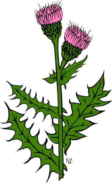 366x598 Garden Weed Clipart 1952233