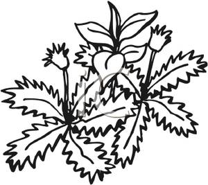 300x267 Garden Weeds Clipart