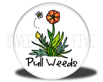 340x270 Plant Dreams Pull Weeds And Grow A Happy Life