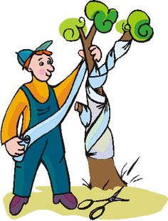 236x311 Tips And Tricks On How To Get Rid Of Weeds. Real Estate Now