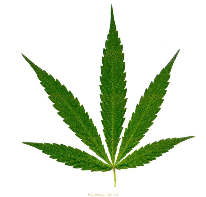 867x828 Weed Clipart Many Interesting Cliparts