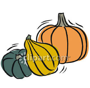 300x295 Squash Clipart Pumkin