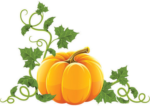 520x368 Halloween Pumpkin Border Free Vector In Adobe Illustrator Ai ( Ai