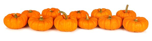 596x160 Pumpkin Row Clipart
