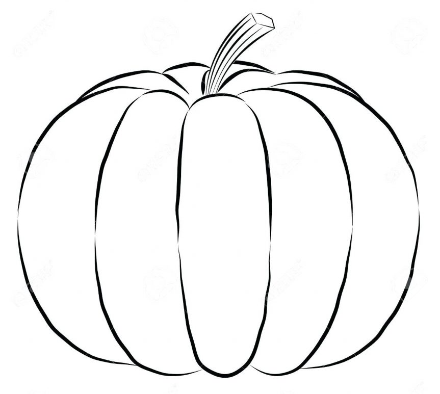 863x773 Outline Pumpkin Black Fine Lines And Spine Vector Silhouette Stock