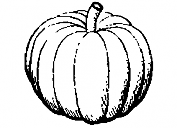 600x437 Vegetable Clipart Pumpkin